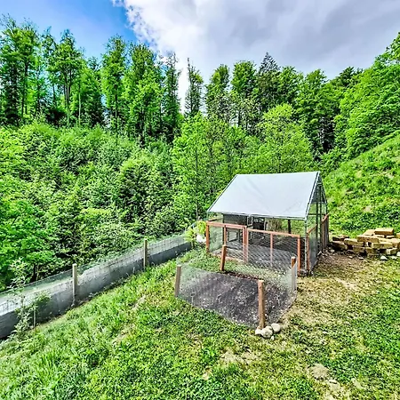 Familienglueck By Interhome غنيدنوالد