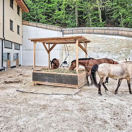 Familienglueck By Interhome * غنيدنوالد